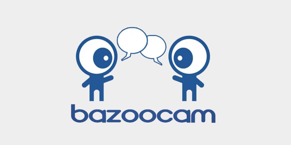 Bazoocam : Interview de Nicolas le créateur